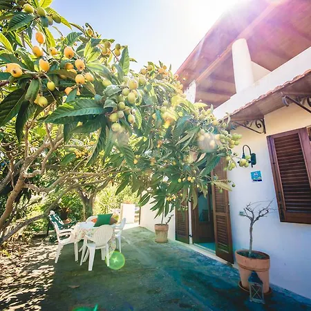 Casa Papiro