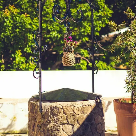 Bed & Breakfast Casa Papiro