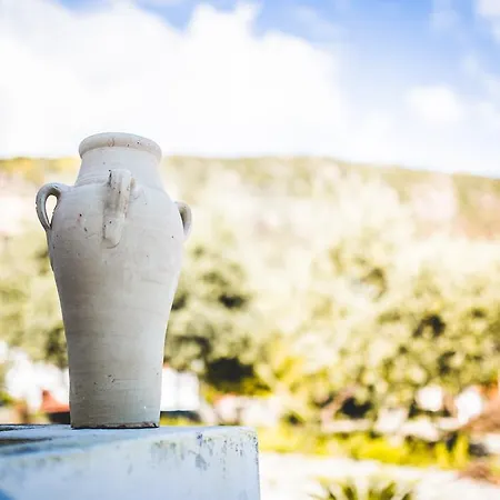 Alojamento de Acomodação e Pequeno-almoço Casa Papiro Lípara