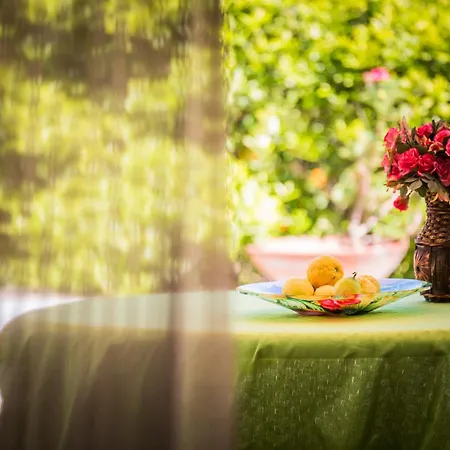 Bed & Breakfast Casa Papiro